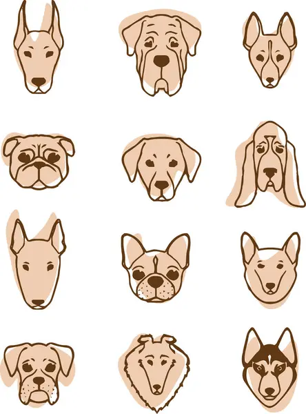  Farklı cinslerden köpekler. Vektör illüstrasyonu