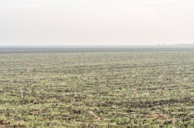 Arable land in winter. Arable land and winter crops in Serbia