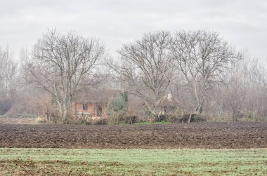 Arable land and winter crops in Serbia on on the background of the homestead.