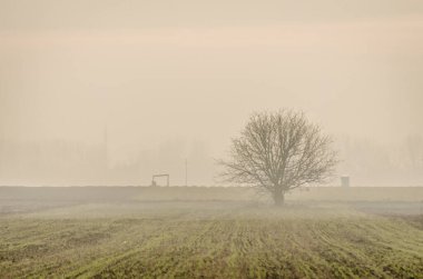 Arable land in winter. Arable land and winter crops in Serbia