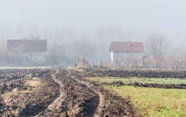Arable land and winter crops in Serbia on on the background of the homestead.