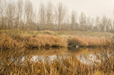 Sırbistan 'ın sonbahar döneminde bir kanal sistemi olan Tuna Tisaube Kanalı manzarası. Su baskını ve hidroteknik yönetim, arazi ıslahı, ormancılık, su kaynağı, atık su tahliyesi için eşsiz bir hidroteknik sistemdir.