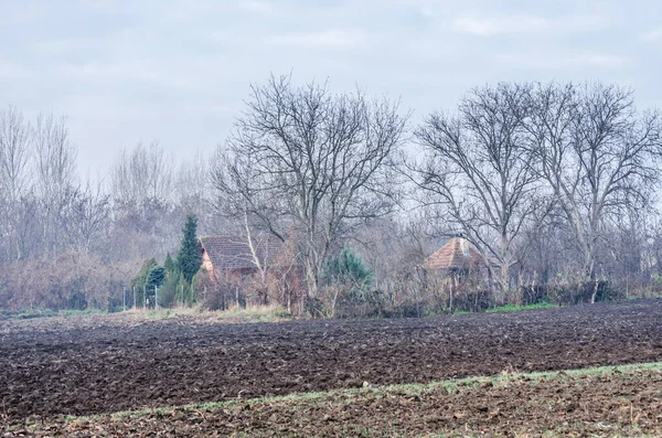 Arable Land Winter Crops Serbia Background Homestead — 스톡 사진