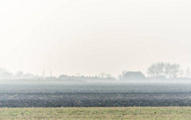 Arable land and winter crops in Serbia on on the background of the homestead.