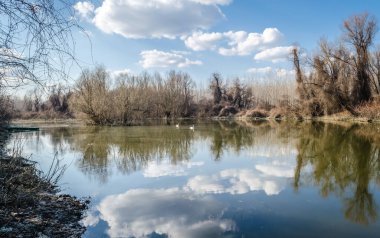 Bataklık sonbahar, güneşli manzara. Güneşli bir sonbahar döneminde bataklığın panoramik görüntüsü..
