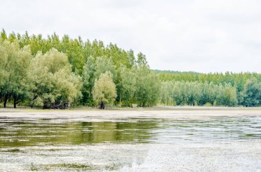 Yapay gölün panoramik görüntüsü. Yılın yaz döneminde inşa edilmiş yapay gölün panoramik görüntüsü..