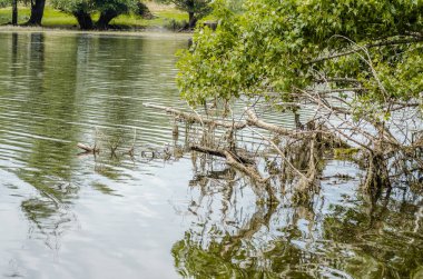 Yapay gölün panoramik görüntüsü. Yılın yaz döneminde inşa edilmiş yapay gölün panoramik görüntüsü..