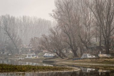 Bataklığın panoramik manzarası sonbahar sisi ile kaplıydı. Bataklık sisli manzarası.