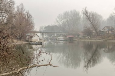 Bataklığın panoramik manzarası sonbahar sisi ile kaplıydı. Bataklık sisli manzarası.