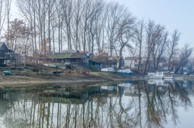 Bataklığın panoramik manzarası sonbahar sisi ile kaplıydı. Bataklık sisli manzarası.