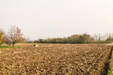 Kış tarım arazisi. Tarlalı kış panoramik manzarası.