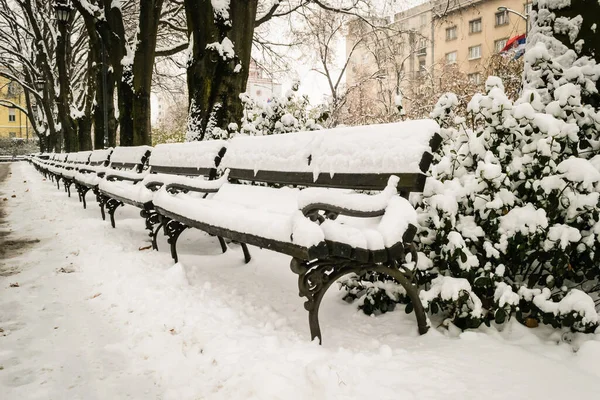 stock image City park covered with snow. Wooden benches in the city park covered with a winter blanket. City park covered with winter blanket in the month of January.