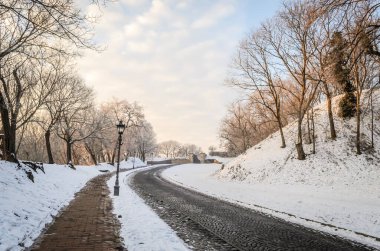Petrovaradin kalesi karla kaplı. Petrovaradin Kalesi 'ne giden karla kaplı yolun manzarası..