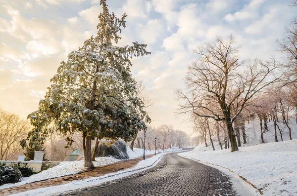 Petrovaradin kalesi karla kaplı. Petrovaradin Kalesi 'ne giden karla kaplı yolun manzarası..