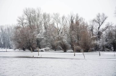 Danube river delta in winter. A panoramic view of the Danube river delta in winter, covered with snow and ice.