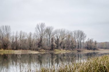 Güz çimenleriyle kaplı gölün kıyılarının panoramik görüntüsü.