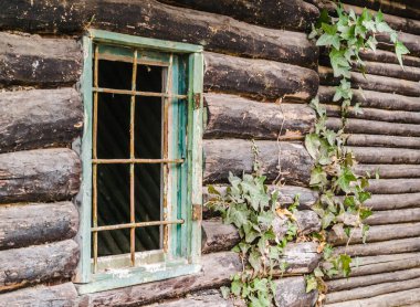 Fruska Gora Ulusal Parkı 'nda terk edilmiş bir kulübe..