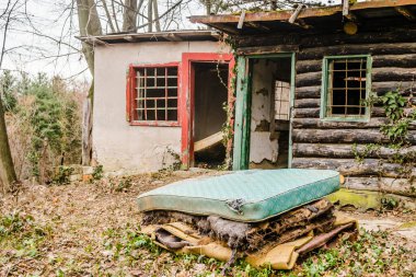 Fruska Gora Ulusal Parkı 'nda terk edilmiş bir kulübe..
