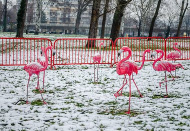 Traditional lanterns on display at the Chinese Light Festival in Novi Sad.