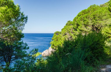 Karadağ 'ın Petrovac na Moru kentindeki ebedi yeşil ağaçlarla kaplı güneşli uçurumlar.