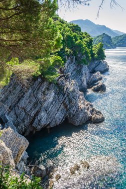 Karadağ 'ın Petrovac na Moru kentindeki ebedi yeşil ağaçlarla kaplı güneşli uçurumlar.