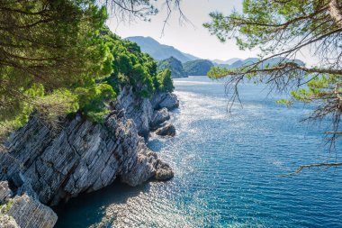 Karadağ 'ın Petrovac na Moru kentindeki ebedi yeşil ağaçlarla kaplı güneşli uçurumlar.