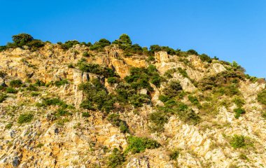 Karadağ 'ın Petrovac na Moru kentindeki ebedi yeşil ağaçlarla kaplı güneşli uçurumlar.