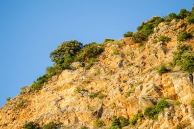 Karadağ 'ın Petrovac na Moru kentindeki ebedi yeşil ağaçlarla kaplı güneşli uçurumlar.