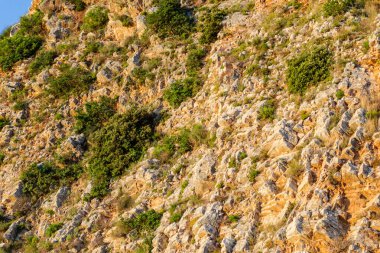 Karadağ 'ın Petrovac na Moru kentindeki ebedi yeşil ağaçlarla kaplı güneşli uçurumlar.