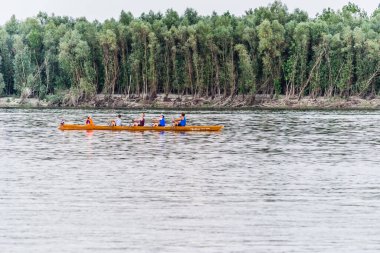 Tuna Nehri 'nin panoramik manzarası. Tuna Nehri 'nin sularındaki kürekçilerin manzarası.