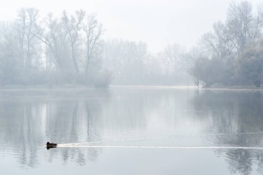 Ulusal Park 'ın panoramik manzarası. Kış mevsiminde kar ve buzla kaplı Ulusal Park 'ın panoramik manzarası.
