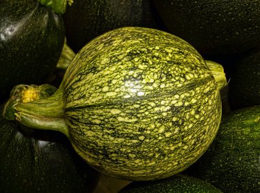 Pazarda taze yeşil balkabağı