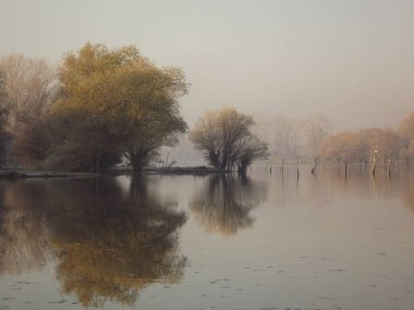 Novi Sad, Sırbistan - Aralık 04. 2013: Sırbistan 'ın Novi Sad kenti yakınlarındaki Tuna Nehri' nin kolları üzerinde gün batımı