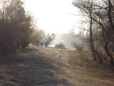 Novi Sad, Sırbistan - Aralık 04. 2013: Sırbistan 'ın Novi Sad kenti yakınlarındaki Tuna Nehri' nin kolları üzerinde gün batımı