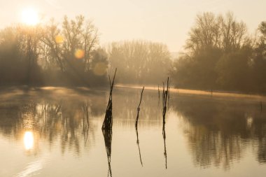 Novi Sad, Sırbistan - Aralık 04. 2013: Sırbistan 'ın Novi Sad kenti yakınlarındaki Tuna Nehri' nin kolları üzerinde gün batımı