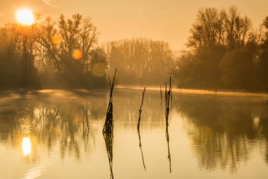 Novi Sad, Sırbistan - Aralık 04. 2013: Sırbistan 'ın Novi Sad kenti yakınlarındaki Tuna Nehri' nin kolları üzerinde gün batımı