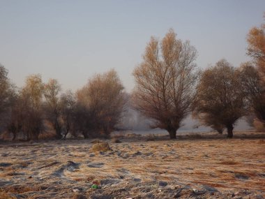 Novi Sad, Sırbistan - Aralık 04. 2013: Sırbistan 'ın Novi Sad kenti yakınlarındaki Tuna Nehri' nin kolları üzerinde gün batımı