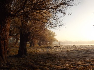 Novi Sad, Sırbistan - Aralık 04. 2013: Sırbistan 'ın Novi Sad kenti yakınlarındaki Tuna Nehri' nin kolları üzerinde gün batımı