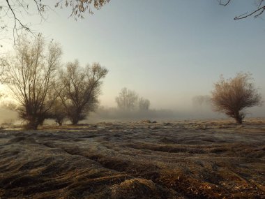 Novi Sad, Sırbistan - Aralık 04. 2013: Sırbistan 'ın Novi Sad kenti yakınlarındaki Tuna Nehri' nin kolları üzerinde gün batımı
