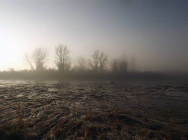 Novi Sad, Sırbistan - Aralık 04. 2013: Sırbistan 'ın Novi Sad kenti yakınlarındaki Tuna Nehri' nin kolları üzerinde gün batımı