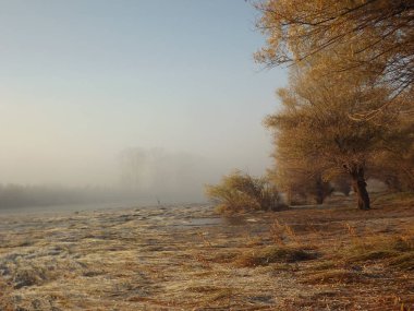 Novi Sad, Sırbistan - Aralık 04. 2013: Sırbistan 'ın Novi Sad kenti yakınlarındaki Tuna Nehri' nin kolları üzerinde gün batımı