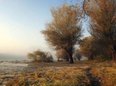 Novi Sad, Sırbistan - Aralık 04. 2013: Sırbistan 'ın Novi Sad kenti yakınlarındaki Tuna Nehri' nin kolları üzerinde gün batımı