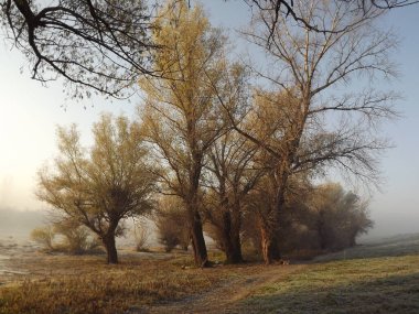 Novi Sad, Sırbistan - Aralık 04. 2013: Sırbistan 'ın Novi Sad kenti yakınlarındaki Tuna Nehri' nin kolları üzerinde gün batımı
