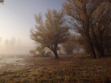 Novi Sad, Sırbistan - Aralık 04. 2013: Sırbistan 'ın Novi Sad kenti yakınlarındaki Tuna Nehri' nin kolları üzerinde gün batımı