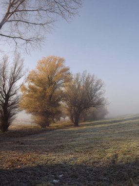 Novi Sad, Sırbistan - Aralık 04. 2013: Sırbistan 'ın Novi Sad kenti yakınlarındaki Tuna Nehri' nin kolları üzerinde gün batımı