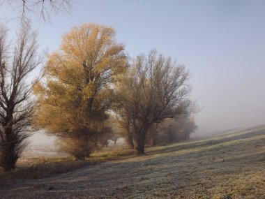 Novi Sad, Sırbistan - Aralık 04. 2013: Sırbistan 'ın Novi Sad kenti yakınlarındaki Tuna Nehri' nin kolları üzerinde gün batımı
