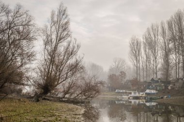 Bataklığın panoramik manzarası sonbahar sisi ile kaplıydı. Bataklık sisli manzarası.