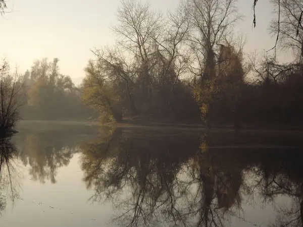 Novi Sad, Sırbistan - Aralık 04. 2013: Sırbistan 'ın Novi Sad kenti yakınlarındaki Tuna Nehri' nin kolları üzerinde gün batımı