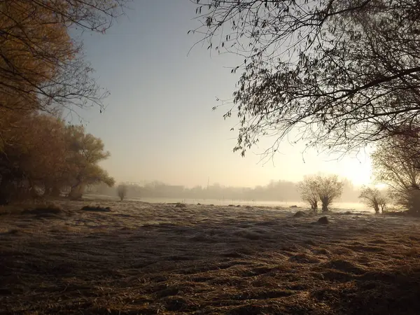 Novi Sad, Sırbistan - Aralık 04. 2013: Sırbistan 'ın Novi Sad kenti yakınlarındaki Tuna Nehri' nin kolları üzerinde gün batımı