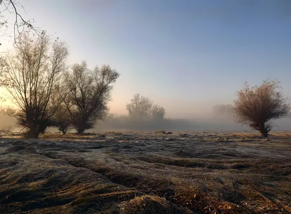 Novi Sad, Sırbistan - Aralık 04. 2013: Sırbistan 'ın Novi Sad kenti yakınlarındaki Tuna Nehri' nin kolları üzerinde gün batımı